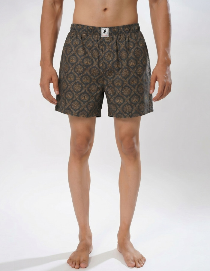 Boxer Grey